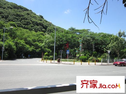 佳兆业・前海广场附近青青世界公园