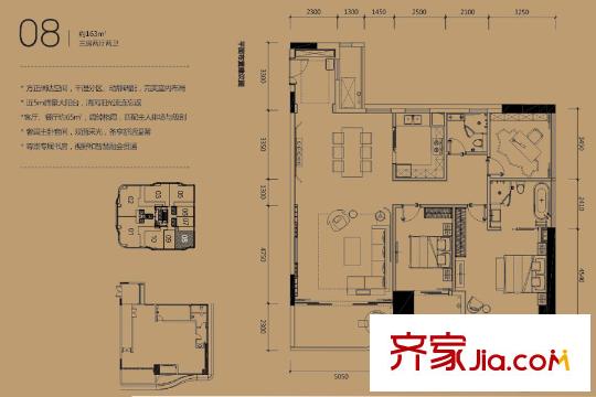 中洲・中央公寓E-CLASS08户型163平户型图 3室2厅2卫