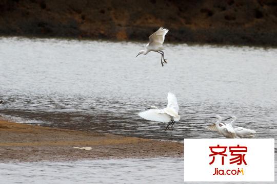 惠州雅居乐白鹭湖小区(2015-3-12)