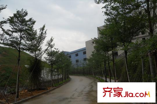 百合盛世二期前面的友和路(20120504)