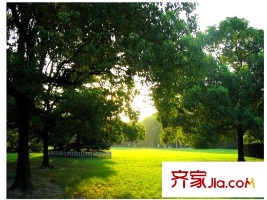 龙光水悦熙园翠景公园