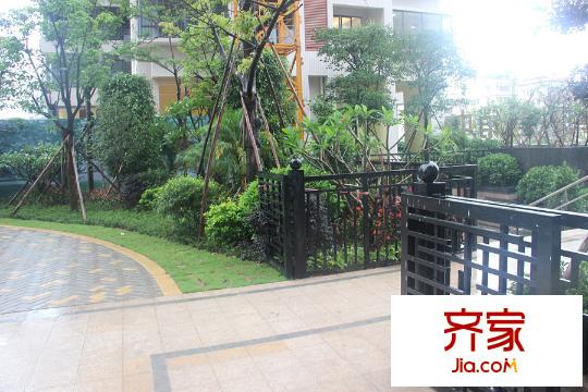 芝麻街小区园林(2015-5-25)