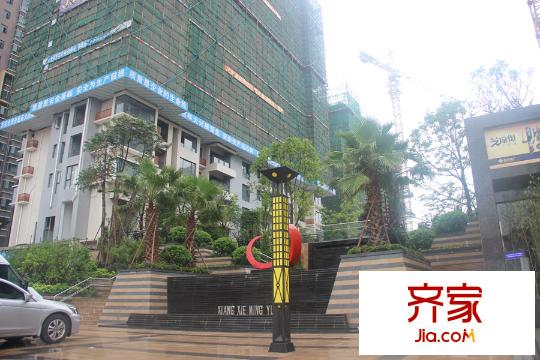 芝麻街小区园林(2015-5-25)