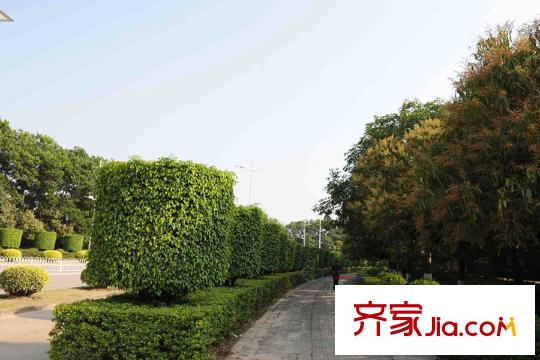 颐安・都会中央2期附近的公园
