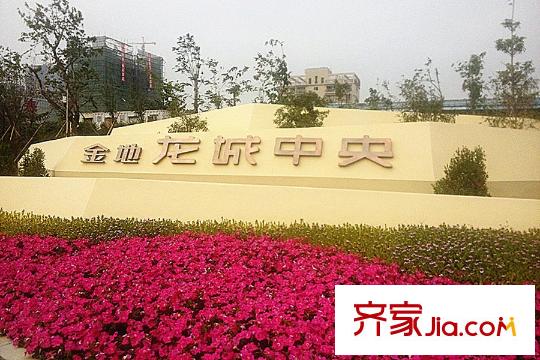金地龙城中央周边环境图