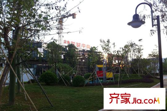 金地龙城中央周边环境图