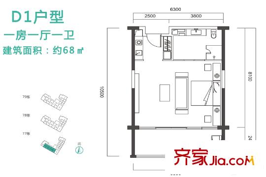 合正东部湾D1户型 1室1厅1卫1厨