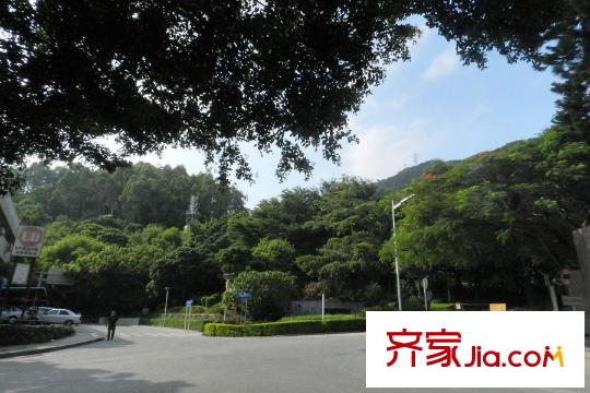 前海丹华项目西面的赤湾公园