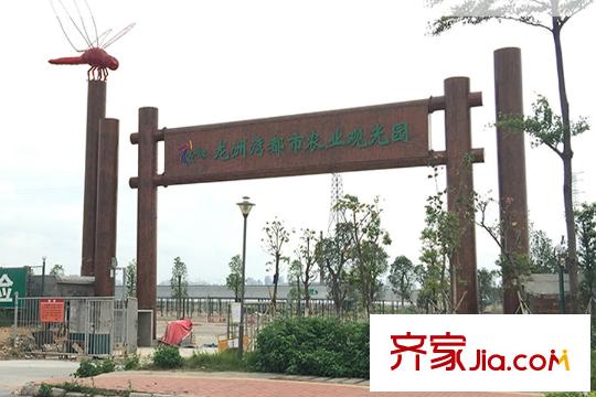 新里城西城道附近农业观光园