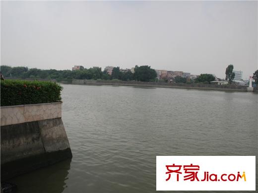 金地城南艺境离项目约200m的白鹭湖景观