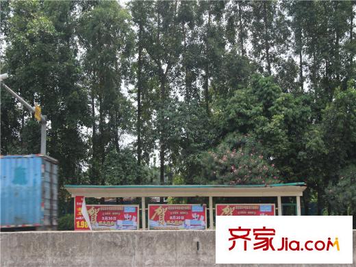 金地城南艺境离项目约1000米的公交站台