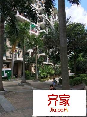 香林玫瑰园外景图