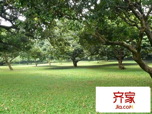 荔园阁二期外景图小区相关图
