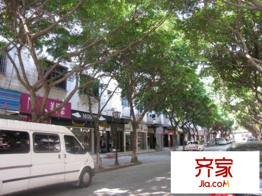 松涛花园外景图小区相关图_1