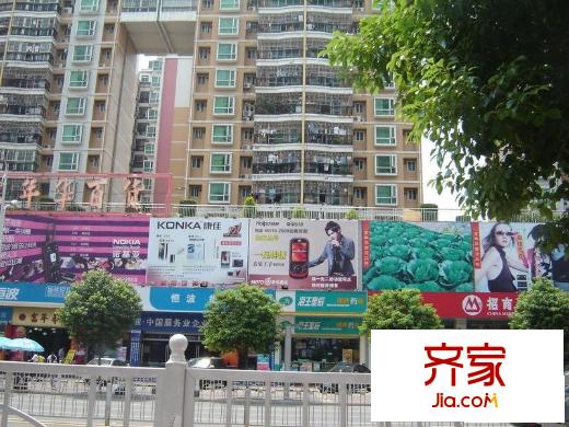 金叶茗苑外景图小区相关图_10