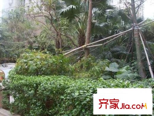 下步庙南区配套图小区花园图