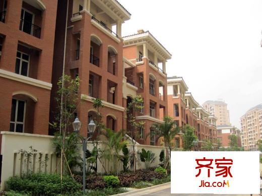 振业城别墅实景图(2010.3.19)