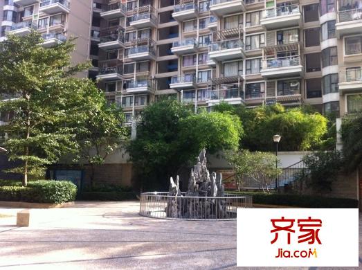 春树里外景图
