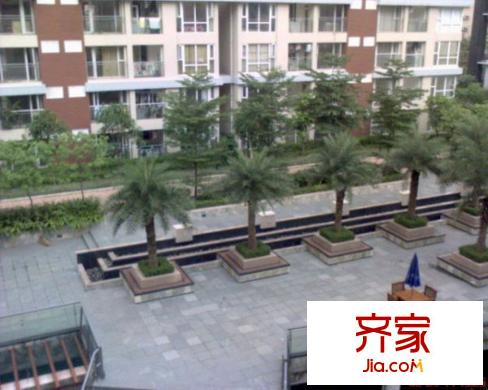 花半里(龙岗)外景图