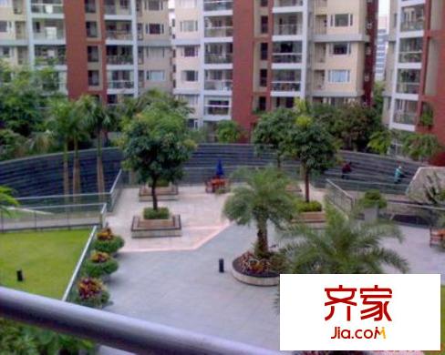 花半里(龙岗)外景图