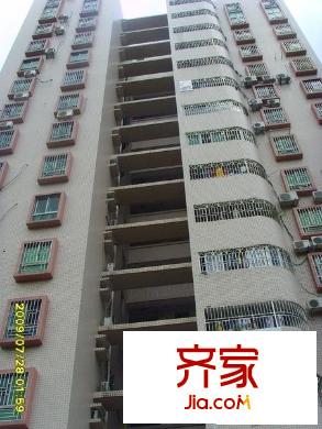 荔树人家外景图小区相关图_5