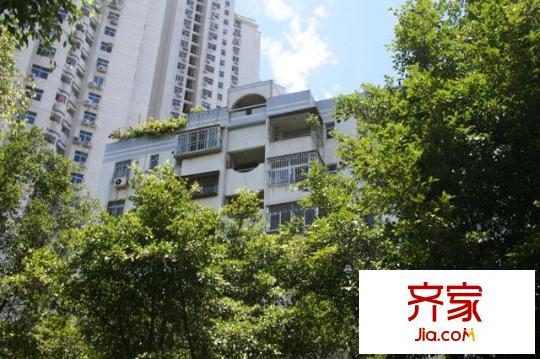 新洲花园外景图