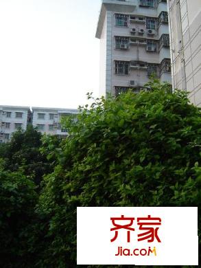 创业二村外景图小区相关图_4