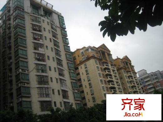旭飞华安园外景图小区相关图_3