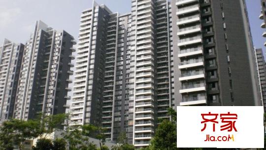 中信红树湾四期外景图深圳