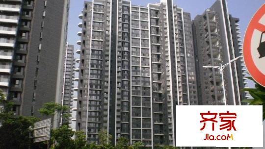中信红树湾四期外景图深圳