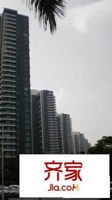 中信红树湾四期外景图深圳