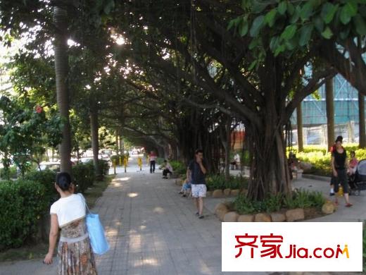 家和盛世花园配套图公园2010.03.10