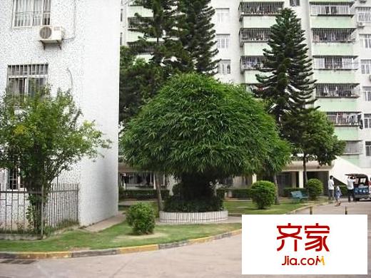 龙都花园外景图