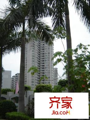 恒安花园外景图小区相关图_1