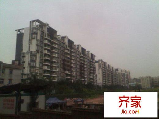 珠光花半里外景图