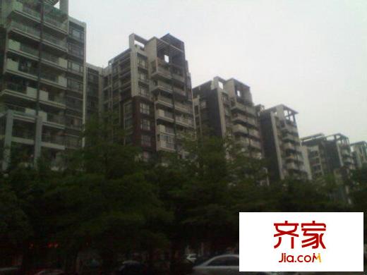珠光花半里外景图