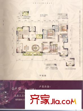 桃源居首府户型图11-12栋Q户型 5室3卫