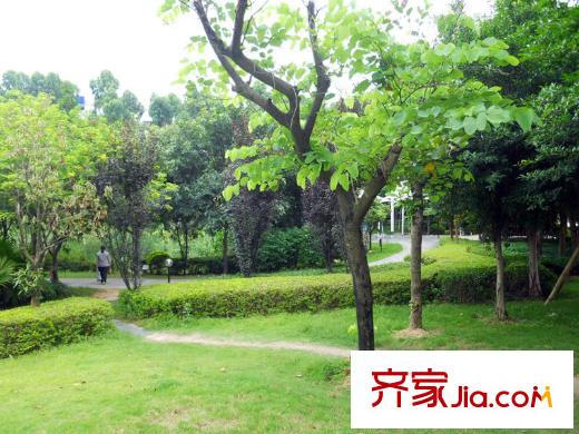 桃源居首府配套图周边的生态公园