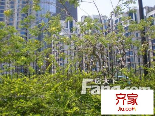 黄埔雅苑二期外景图