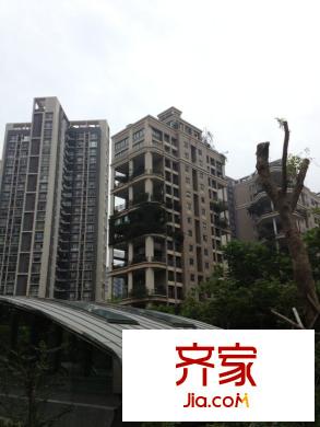 天骄华庭外景图