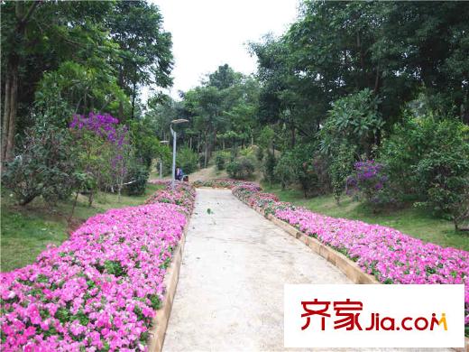 铭筑配套图荔林公园一角