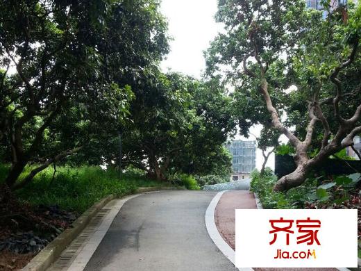 万科公园里实景图小区园林(2014-09-15)