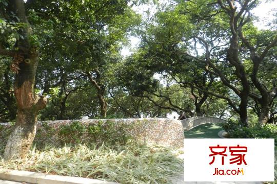 万科公园里实景图九悦公园(2012-10-12)