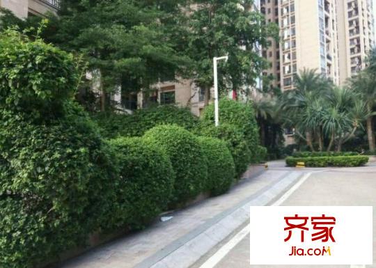 龙园意境外景图