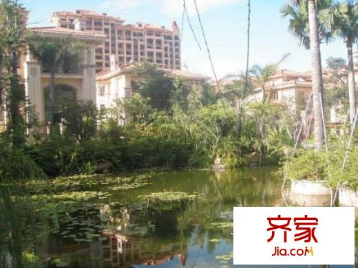 龙园意境外景图
