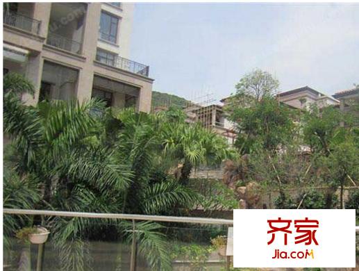 大南山紫园外景图
