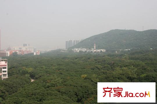 大南山紫园配套图附近荔林