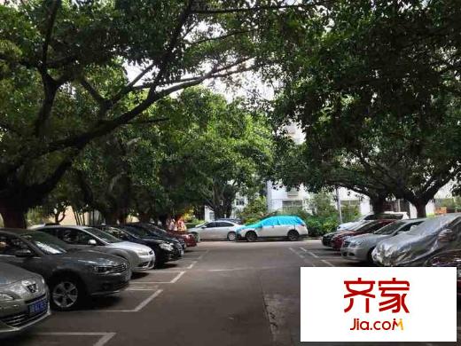 荔苑小区外景图