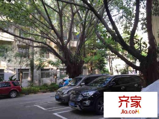 荔苑小区外景图