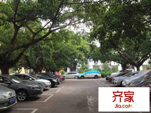 荔苑小区外景图